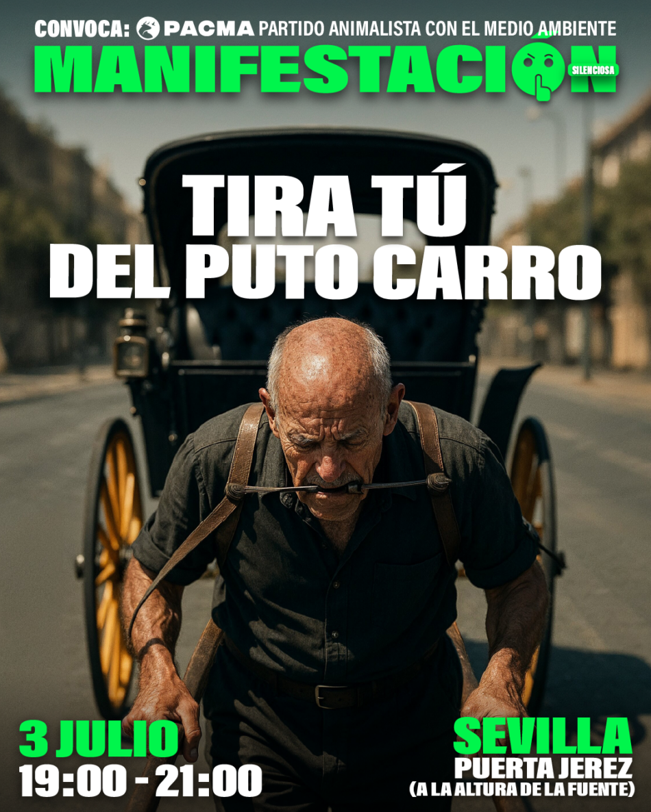 El Partido Animalista PACMA convoca una manifestación silenciosa en Sevilla para denunciar el abuso de caballos en carruajes turísticos