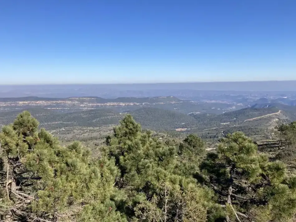 La empresa de capital sueco EOLUS pretende instalar un parque eólico en Ayora-Cofrentes, invadiendo la Red Natura 2000 en España