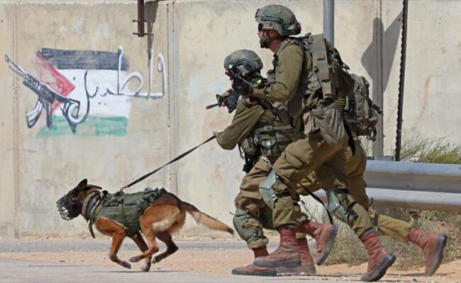 Europa envía los perros que usa Israel contra palestinos