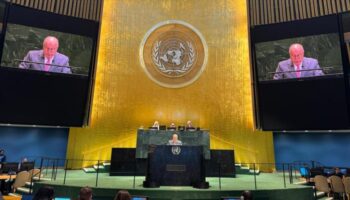 Brasil impone embargo de armas a Israel por genocidio en Gaza