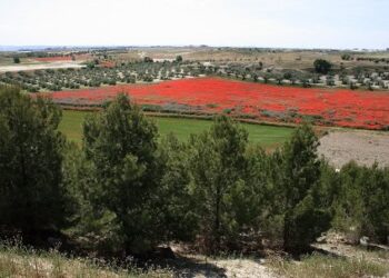 Un macroproyecto logístico destruirá el entorno de la Ermita de Santiago, uno de los parajes de mayor interés natural de Valdemoro