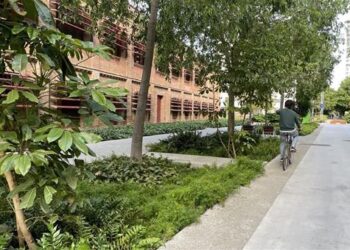 Sanidad y la FEMP publican una guía para transformar el espacio público con urbanismo que mejore la salud