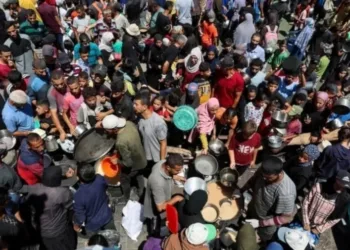 UNRWA recibe mensajes desesperados de hambre desde Gaza