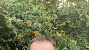 Entrevista con el escritor Gonzalo Avendaño: “Nos hemos ido desconectado de la naturaleza”