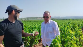Santiago traslada en Montilla el “compromiso” de IU con los productores afectados por la plaga del mildiu para que tengan un “programa de atención y todos los medios para atajarlo”