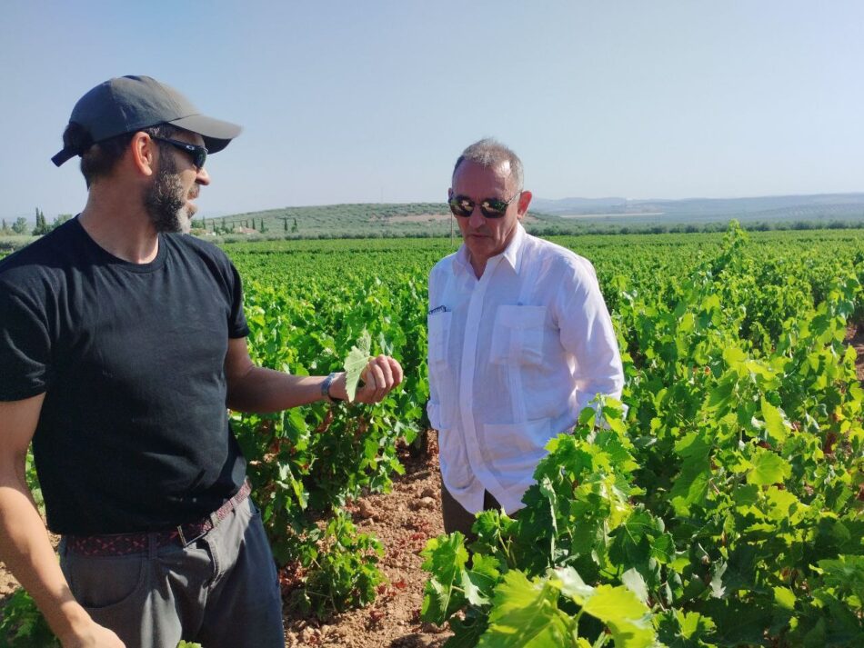 Santiago traslada en Montilla el “compromiso” de IU con los productores afectados por la plaga del mildiu para que tengan un “programa de atención y todos los medios para atajarlo”