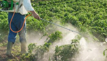 Vietnam promulga lista de sustancias prohibidas en insecticidas