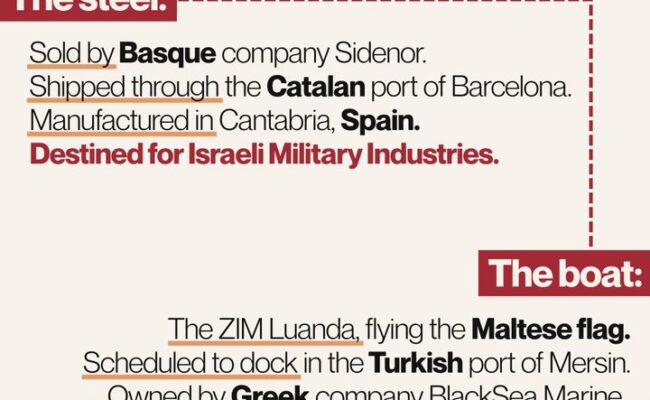 El barco Zim Luanda es denunciado a la Audiencia Nacional por su complicidad con el genocidio en Palestina