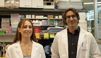Identifican una nueva diana para evitar la metástasis en cáncer de mama