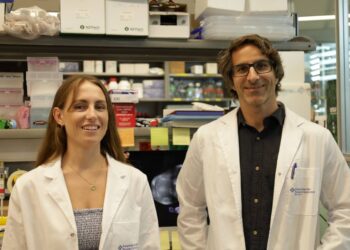 Identifican una nueva diana para evitar la metástasis en cáncer de mama