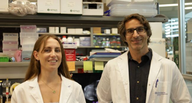 Identifican una nueva diana para evitar la metástasis en cáncer de mama