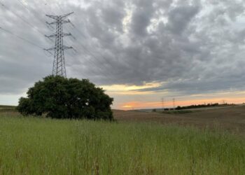 Ecologistas en Acción de la Comunidad de Madrid exige transparencia y rigor legal en los proyectos del Cerro del Baile