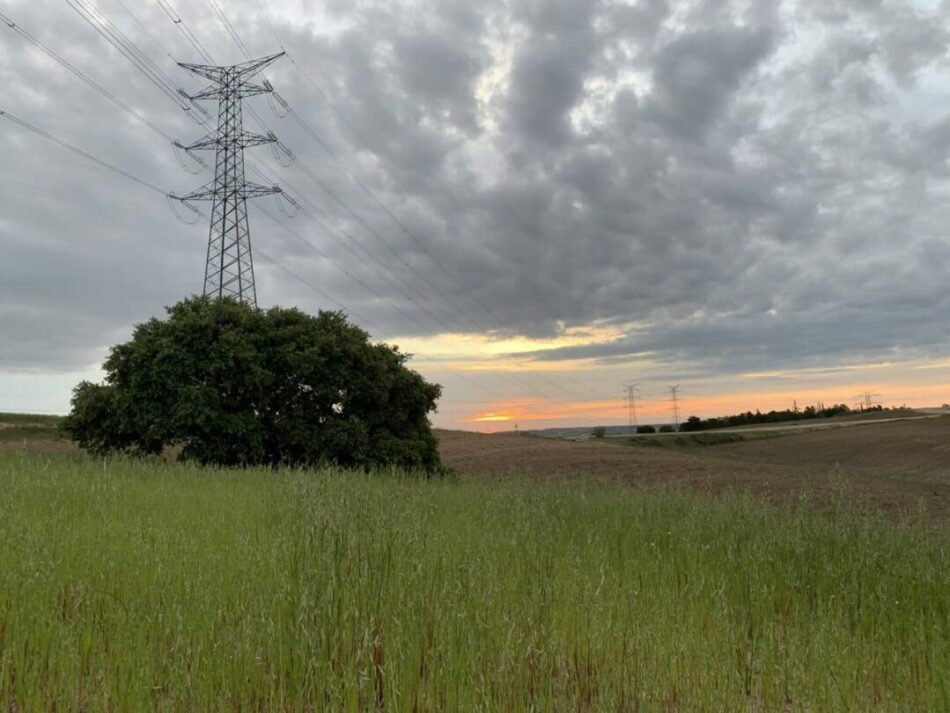 Ecologistas en Acción de la Comunidad de Madrid exige transparencia y rigor legal en los proyectos del Cerro del Baile