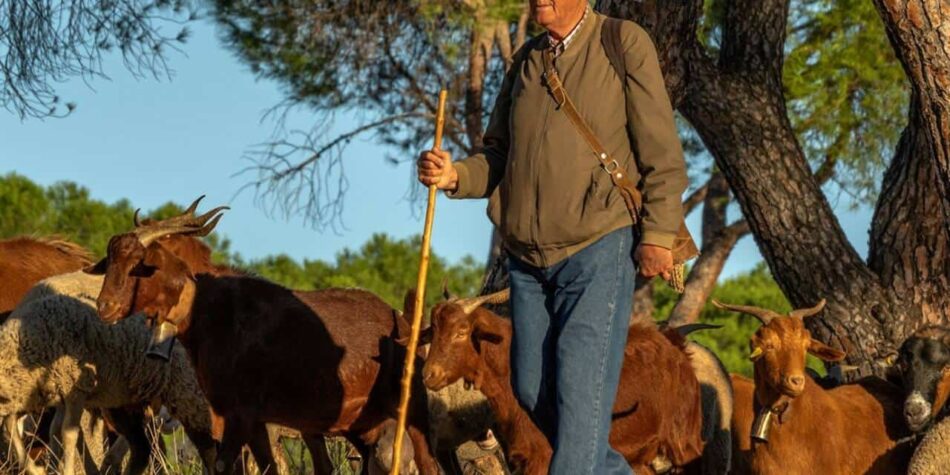 Denuncian el uso del órgano asesor ambiental CAMAEX para que se vote deslegitimar la Red Natura y el ecologismo
