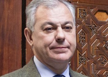 Mensaje urgente al sr. alcalde del Ayuntamiento de Sevilla, José Luis Sanz Ruiz