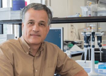 José Manuel Fernández–Real, experto en enfermedades metabólicas: “La microbiota nace y madura con nosotros: es única para cada persona”