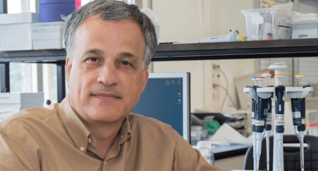 José Manuel Fernández–Real, experto en enfermedades metabólicas: “La microbiota nace y madura con nosotros: es única para cada persona”