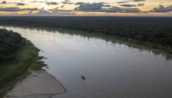 Los territorios indígenas y las áreas protegidas son claves para el Amazonas