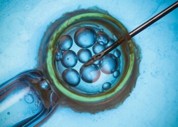 Ocho bebés nacen sin una enfermedad hereditaria gracias a la donación mitocondrial