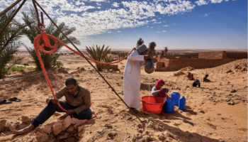 Sequía global: la ONU advierte de daños humanos y económicos sin precedentes entre 2023 y 2025