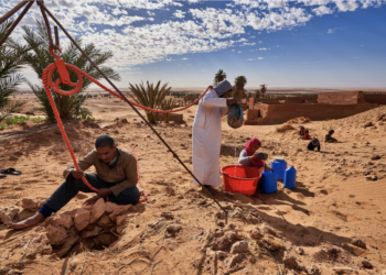 Sequía global: la ONU advierte de daños humanos y económicos sin precedentes entre 2023 y 2025