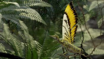 Un reptil del Triásico aporta nuevas claves sobre la evolución de las plumas