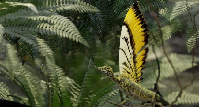 Un reptil del Triásico aporta nuevas claves sobre la evolución de las plumas