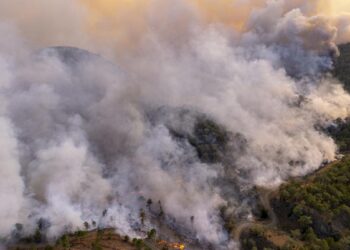 CCOO denuncia la lentitud del Gobierno para aplicar los compromisos de la Ley Básica de Bomberos/as forestales