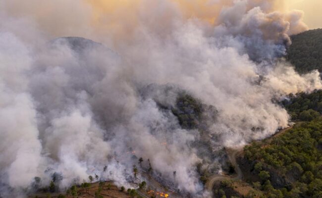 CCOO denuncia la lentitud del Gobierno para aplicar los compromisos de la Ley Básica de Bomberos/as forestales