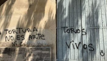 Plataforma La Tortura No Es Cultura (LTNEC): «Baleares retrocede permitiendo a menores asistir a espectáculos taurinos»