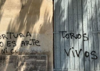 Plataforma La Tortura No Es Cultura (LTNEC): «Baleares retrocede permitiendo a menores asistir a espectáculos taurinos»