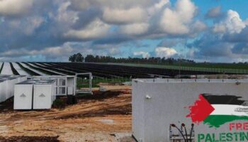 Más de 130 organizaciones exigen al Gobierno que prohíba las operaciones comerciales de la empresa energética israelí Enlight Renewable Energy, promotora de la ocupación de Palestina