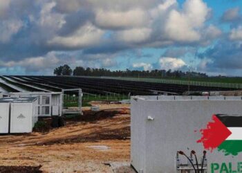 Más de 130 organizaciones exigen al Gobierno que prohíba las operaciones comerciales de la empresa energética israelí Enlight Renewable Energy, promotora de la ocupación de Palestina