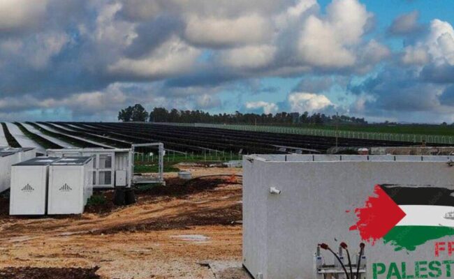 Más de 130 organizaciones exigen al Gobierno que prohíba las operaciones comerciales de la empresa energética israelí Enlight Renewable Energy, promotora de la ocupación de Palestina
