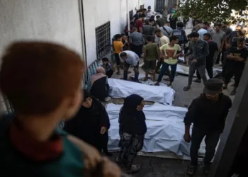 Más de 220 periodistas asesinados en la Franja de Gaza desde octubre de 2023