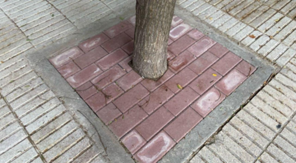 Ecologistas en Acción alerta de la tala de más de cuarenta árboles en el Paseo del Pintor Rosales (Madrid)