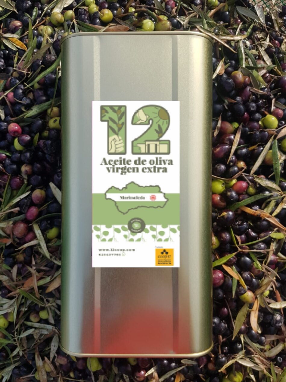 La idea del aceite solidario alcanza los 100 mil euros en aportaciones