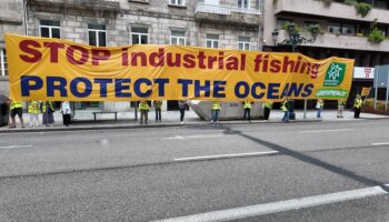 Ecologistas en Acción y Greenpeace protestan en Vigo contra la desprotección de los ecosistemas marinos vulnerables