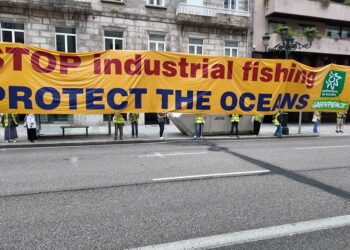 Ecologistas en Acción y Greenpeace protestan en Vigo contra la desprotección de los ecosistemas marinos vulnerables