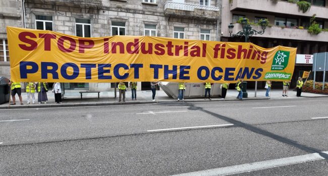 Ecologistas en Acción y Greenpeace protestan en Vigo contra la desprotección de los ecosistemas marinos vulnerables