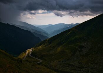 Un informe del Ministerio de Transportes difundido por PACMA desmonta el discurso de que las especies cinegéticas suponen un riesgo vial significativo