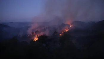 Autoridades sirias reportan avances en el control de los incendios forestales