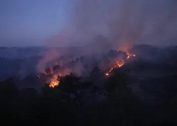 Autoridades sirias reportan avances en el control de los incendios forestales