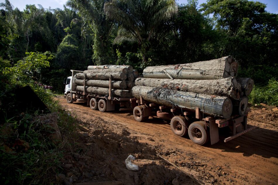 Alianza Verde pide al gobierno una investigación y medidas frente a la entrada de madera procedente de tráfico ilegal, y que no sea un freno en la entrada en vigor del Reglamento Europeo de Deforestación Importada