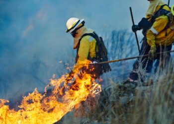 CCOO denuncia enérgicamente la situación en la que se encuentran los y las bomberas forestales en los distintos dispositivos antiincendios de toda España