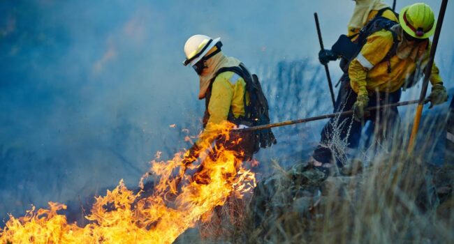 CCOO denuncia enérgicamente la situación en la que se encuentran los y las bomberas forestales en los distintos dispositivos antiincendios de toda España