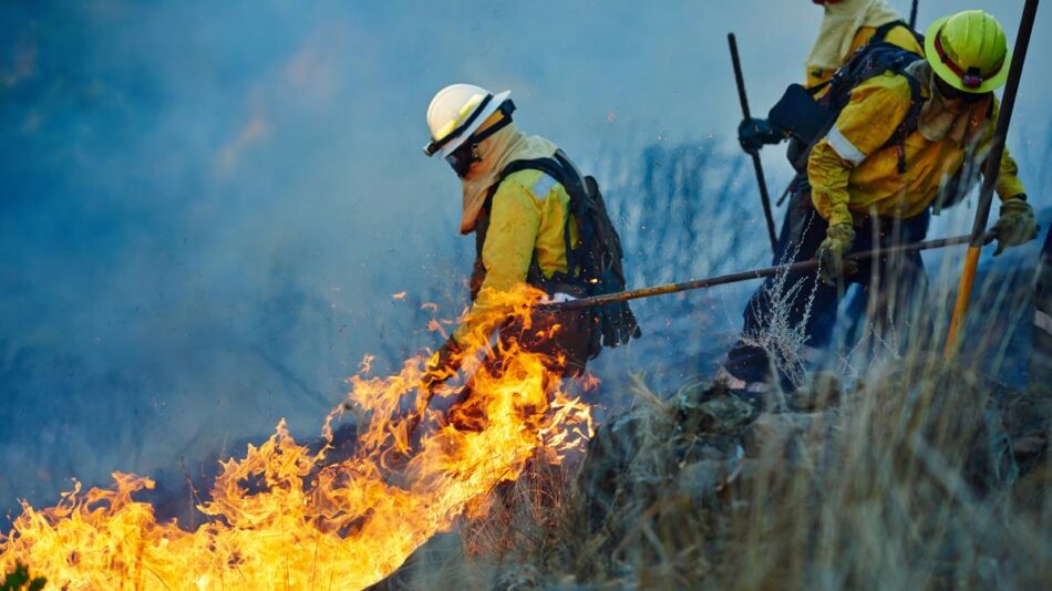 CCOO denuncia enérgicamente la situación en la que se encuentran los y las bomberas forestales en los distintos dispositivos antiincendios de toda España