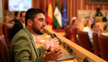 IU denuncia la falta de compromiso del Ayuntamiento de Sevilla con la protección del personal de Servicios Sociales