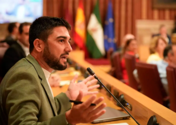 IU denuncia la falta de compromiso del Ayuntamiento de Sevilla con la protección del personal de Servicios Sociales