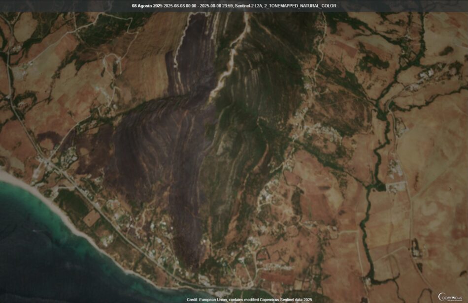 Verdes de Europa-Tarifa señala como culpables directos de los incendios a los responsables de la permisividad del “urbanismo salvaje” a todos los niveles jerárquicos